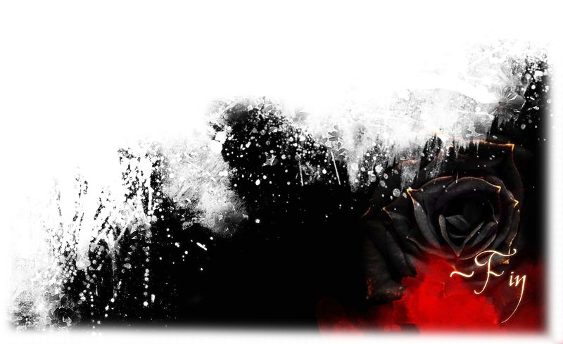 File:Saiorse Bottom.jpg